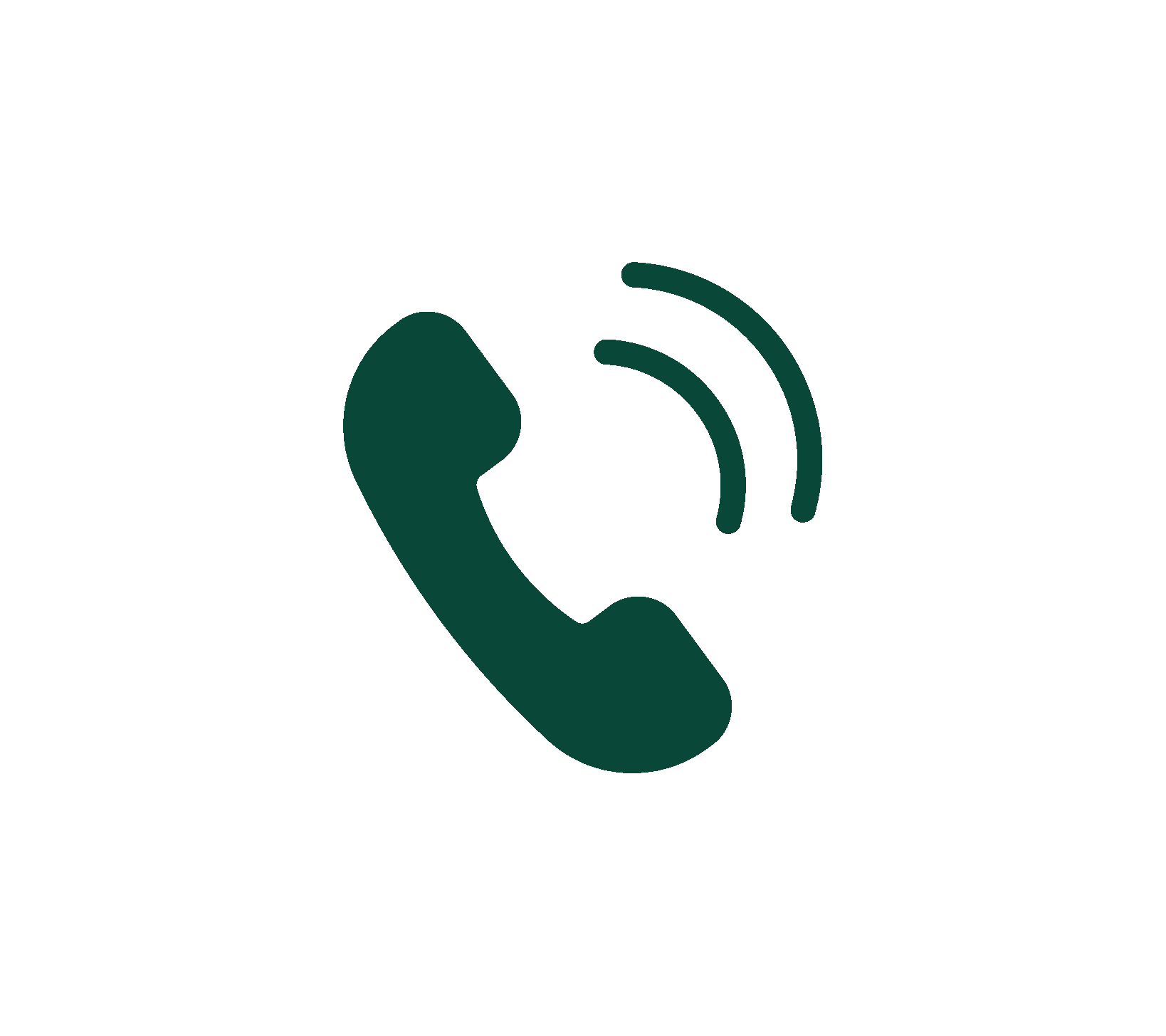 Phone icon